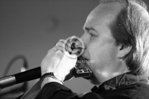 MAYER BERTL 2008