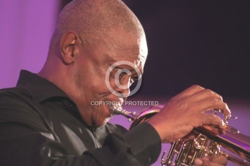 MASAKELA HUGH 2011