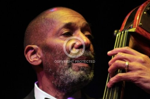 CARTER RON 2010