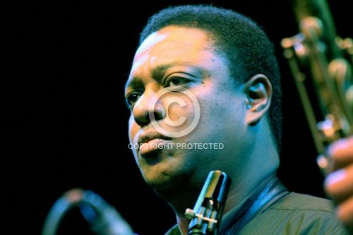 HERRING VINCENT 2009