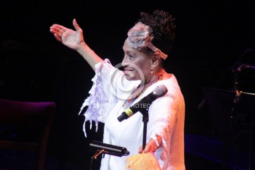 PORTUONDO OMARA 2011