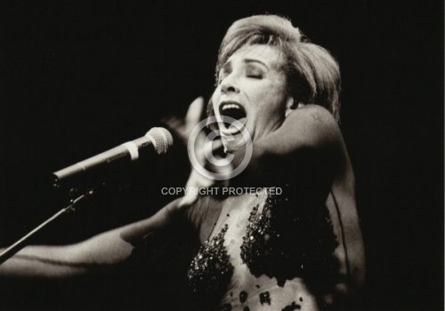 BASSEY SHIRLEY 1993