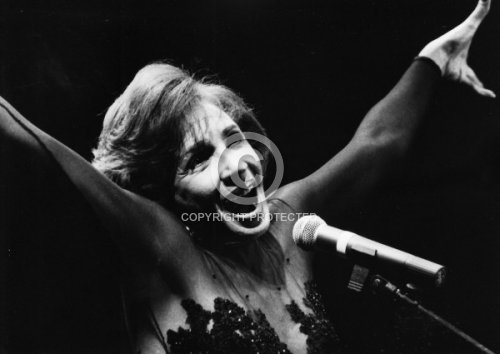 BASSEY SHIRLEY 1993