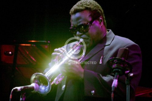 RONEY WALLACE 2009