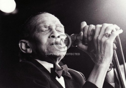 SCOTT LITTLE JIMMY 2004