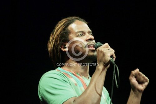 SHAW RYAN 2011
