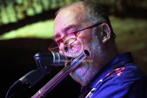 HERMANN HEINZ VON 2012