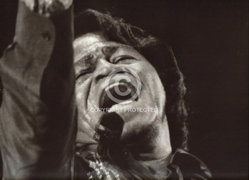 BROWN JAMES 1999