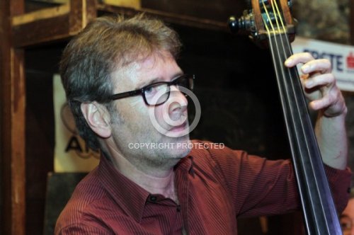 TREML MARTIN  2013