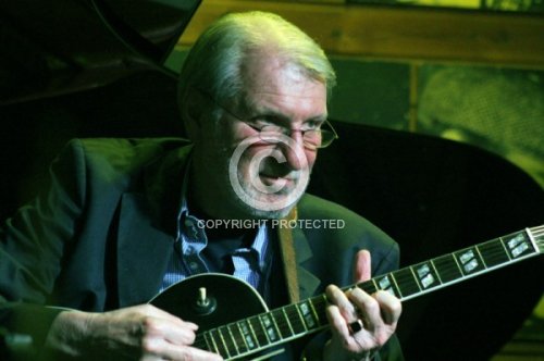 BIENERT GERD WOODY  2013