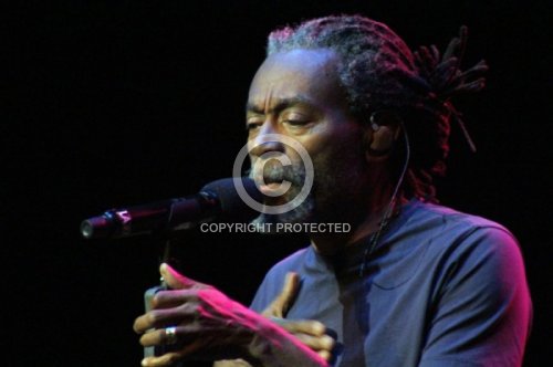 McFERRIN BOBBY  2013