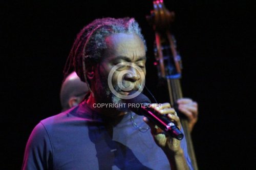 McFERRIN BOBBY  2013