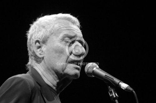 CONTE PAOLO  2013