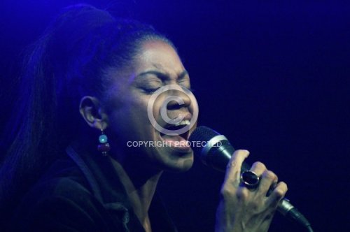 PATRICIO JACQUELINE  2013