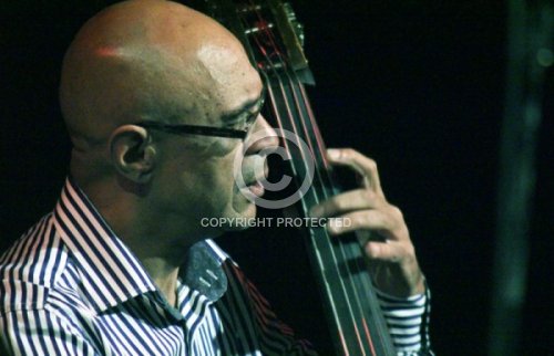 CARDOSO PAUL  2013