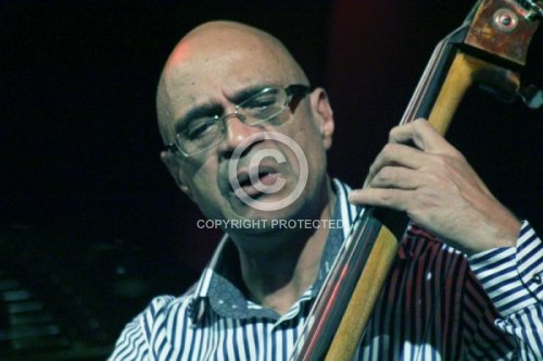 CARDOSO PAUL  2013