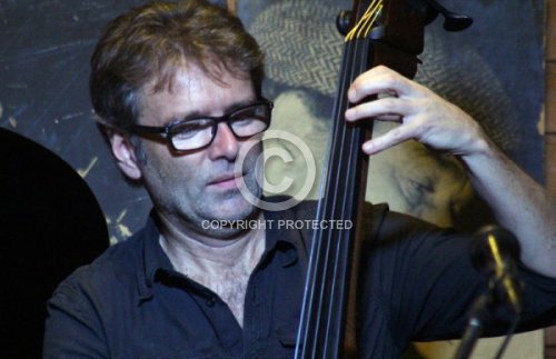 TREML MARTIN  2013