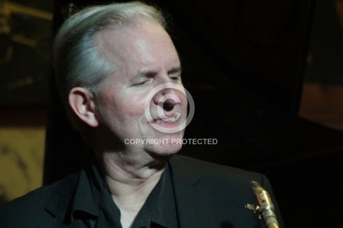 HAMILTON SCOTT  2013