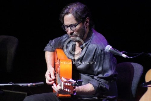 DiMEOLA AL 2011