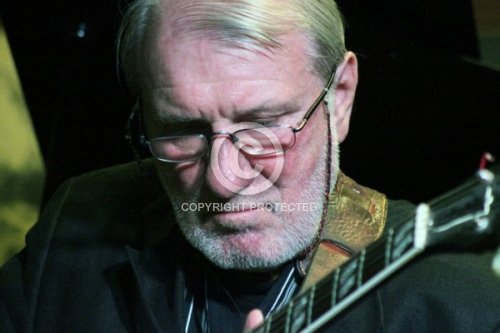 BIENERT GERD WOODY 2012