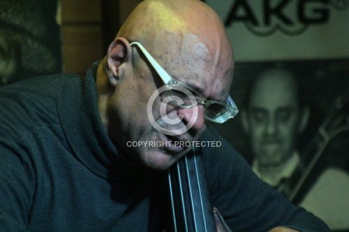 CARDOSO PAULO 2015