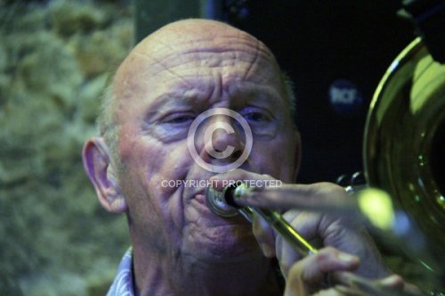 GOLDENBLOW GERT 2016