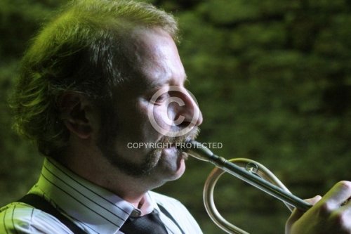 GANSCH THOMAS  2011
