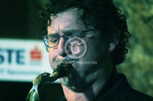 GRADISCHNIG HERWIG 2016