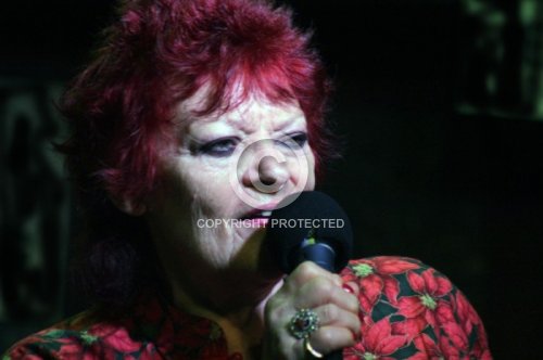 DANA GILLESPIE 2017