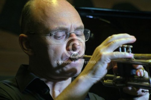 HOLZHACKER MANFRED 2017