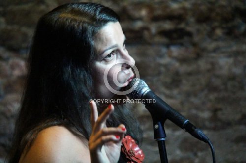 FERRARA PATRIZIA 2017