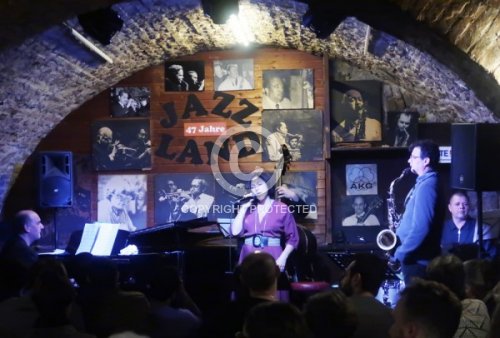 BUTBUL SHLOMIT 2019